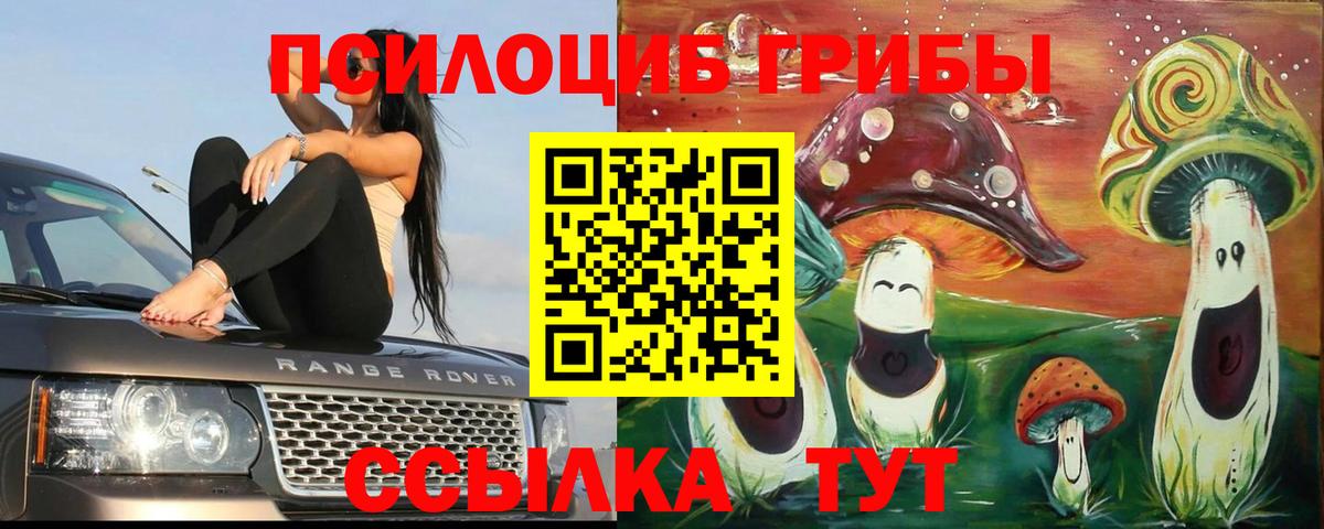 Псилоцибиновые грибы GOLDEN TEACHER Дятьково