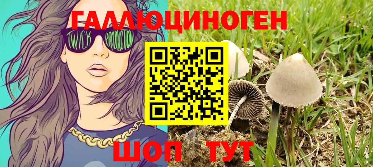 Псилоцибиновые грибы Psilocybine cubensis  Вход с VPN  Галлюциногенные грибы GOLDEN TEACHER  Дятьково 